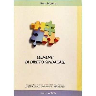 Italo Inglese Elementi di Diritto Sindacale CAFI Editore 2007