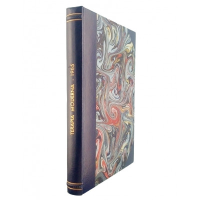 Terapia Moderna volume 1 numero 6 31 dicembre 1965