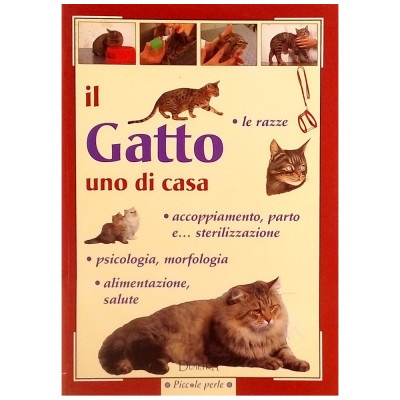 Silvana Franconeri Il gatto uno di casa Demetra 1998