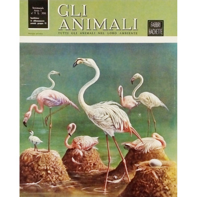 Enciclopedia Gli Animali anno I n 5 aprile 1966 Fabbri Editori