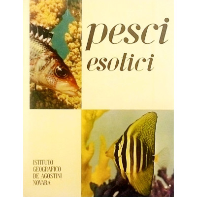 R - M L Bauchot Pesci Esotici Istituto Geografico DeAgostini 1963 Spedizione Gratuita