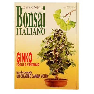 Rivista Bonsai Italiano n 32 maggio 1995 Zanfi Editori Spedizione Gratuita