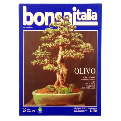 Rivista Bonsaitalia n 25 agosto - settembre 1994 Spedizione Gratuita