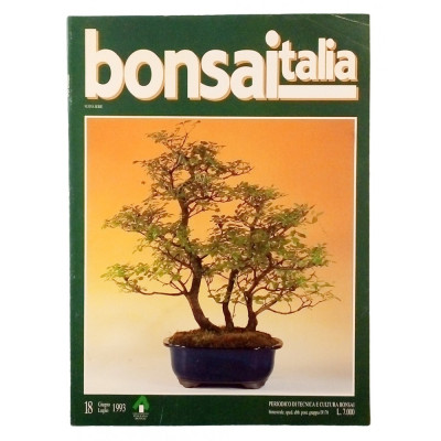 Rivista Bonsaitalia n 18 luglio - agosto 1993 Spedizione Gratuita