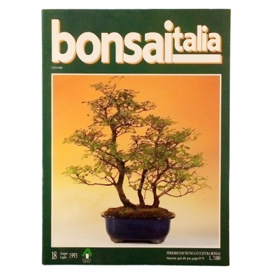Rivista Bonsaitalia n 18 giugno - luglio 1993 Spedizione Gratuita