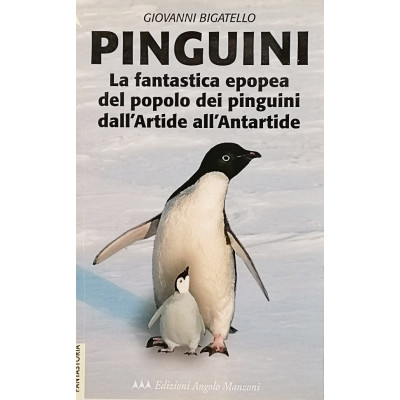 Giovanni Bigatello Pinguini Edizioni Angolo Manzoni 2005