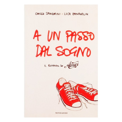 A un passo dal sogno Il Romanzo di Amici Sfondrini-Zanforlin Mondadori 2007