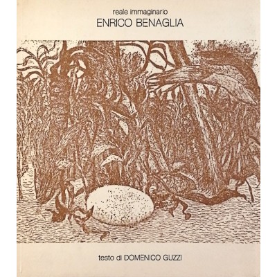 Opere di Enrico Benaglia Reale immaginario Galleria Lombardi Roma 1982