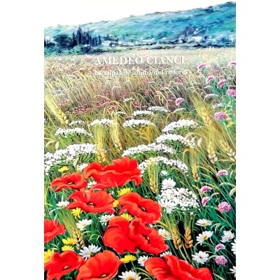 La palpabile anima del colore Opere di Amedeo Cianci