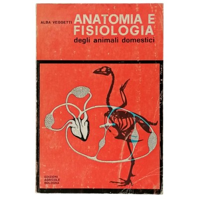 Anatomia E Fisiologia Degli Animali Domestici Alba Veggetti