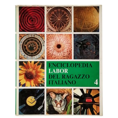 Enciclopedia Labor Del Ragazzo Italiano Volume 4 Edizioni DEI 1980