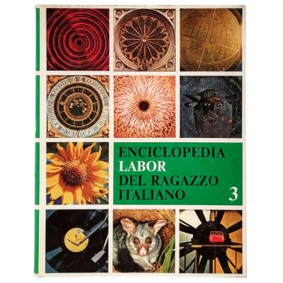 Enciclopedia Labor Del Ragazzo Italiano Volume 3 Edizioni DEI 1980