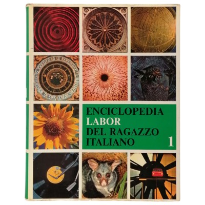Enciclopedia Labor Del Ragazzo Italiano Volume 1 Edizioni DEI 1980