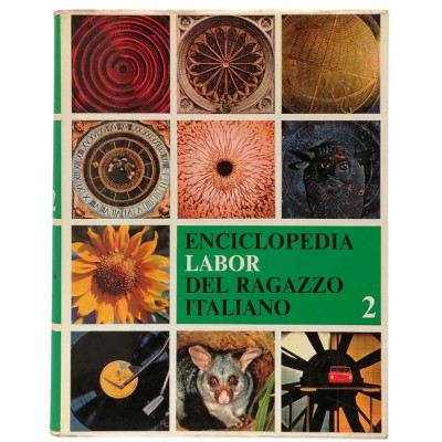 Enciclopedia Labor Del Ragazzo Italiano Volume 2 Edizioni DEI 1980