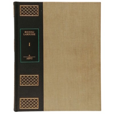 Enciclopedia Universale volume I A-ARVI Rizzoli - Larousse 1966