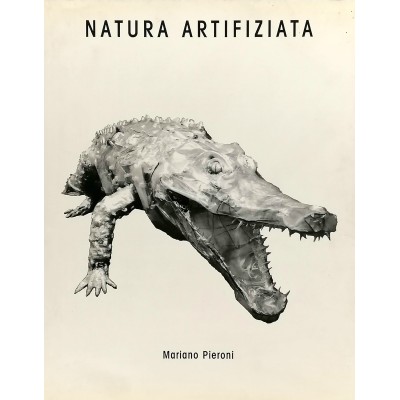 Natura Artifiziala Mariano Pieroni Civica Galleria d'Arte Moderna 2002