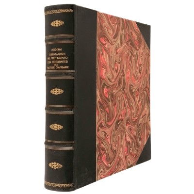 Moderni Orientamenti nel Trattamento con Osteosintesi delle Fratture Diafisarie