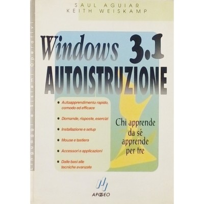 Saul Aguriar-Keith Weiskamp Windows 3.1 Autoistruzione