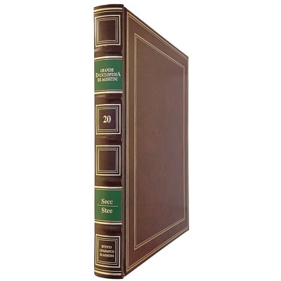 Grande Enciclopedia De Agostini 1994 volume 20 SECC-STEE