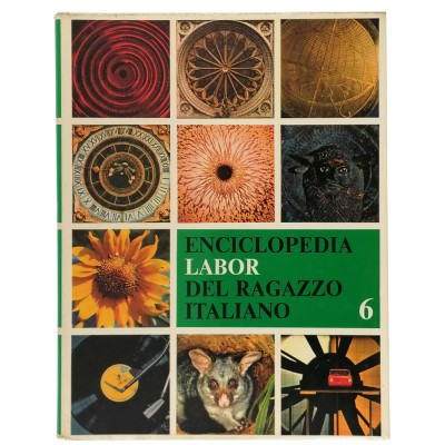 Enciclopedia Labor Del Ragazzo Italiano volume 6 Edizioni Bergamo 1980
