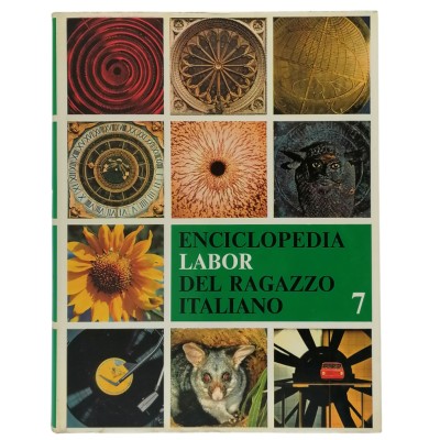 Enciclopedia Labor Del Ragazzo Italiano volume 7 Edizioni Bergamo 1980