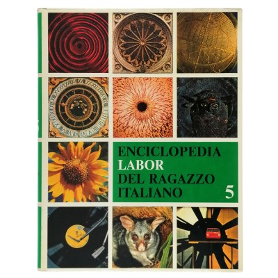 Enciclopedia Labor Del Ragazzo Italiano volume 5 Edizioni Bergamo 1980