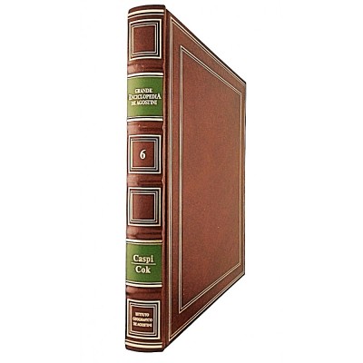 Grande Enciclopedia De Agostini volume 6 Caspi-Cok De Agostini 1994