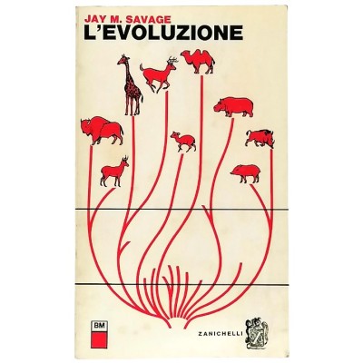L'Evoluzione Jay M. Savage Biologia Moderna Zanichelii Editore 1965