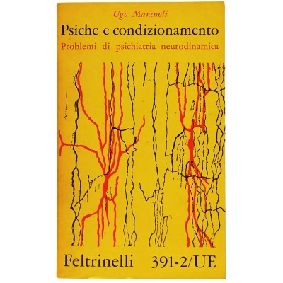 Psiche e Condizionamento Problemi di Psichiatria Neurodinamica Ugo Marzuoli