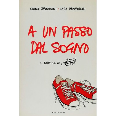 A un passo dal sogno Il romanzo di «Amici» Sfondrini-Zanforlin